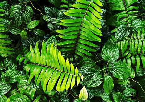 03_content_block_desktop_AS_2